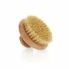 Anatome Round Body Brush Natural Sisal