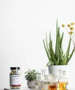 Anatome Joint Movement Support