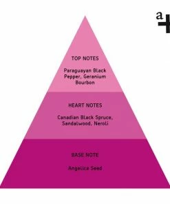 Anatome Balance Stability Pure Oil 10 Ml