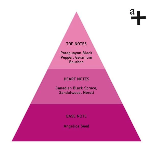 Anatome Balance Stability Pure Oil 10 Ml 3 Anatome Balance Stability Pure Oil 10 Ml