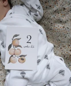 Konges Slojd Milestones