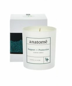 Anatome The Art Of Support