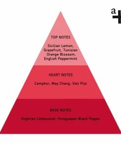 Anatome Energy Strength Candle