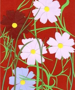 Anatome Miranda Sinclair Seed Card Sonata Cosmos