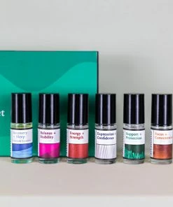 Anatome Discovery Set