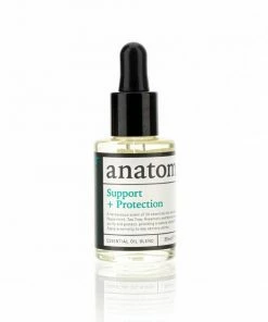 Anatome The Art Of Support
