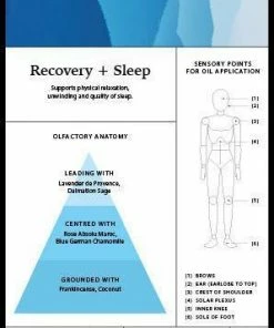 Anatome Light Sleeper Seaweed Essential Sleep Oil