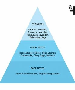 Anatome Recovery Sleep Candle