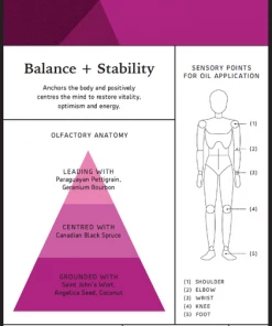 Anatome Balance Stability Essential Oil Blend