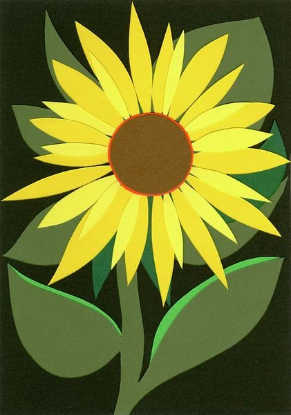Anatome Miranda Sinclair Seed Card Sunflower 3 Anatome Miranda Sinclair Seed Card Sunflower