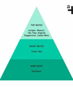 Anatome Support Protection Pure Oil 10 Ml